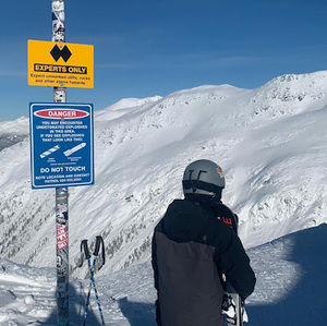 Meet your Posher, Carter